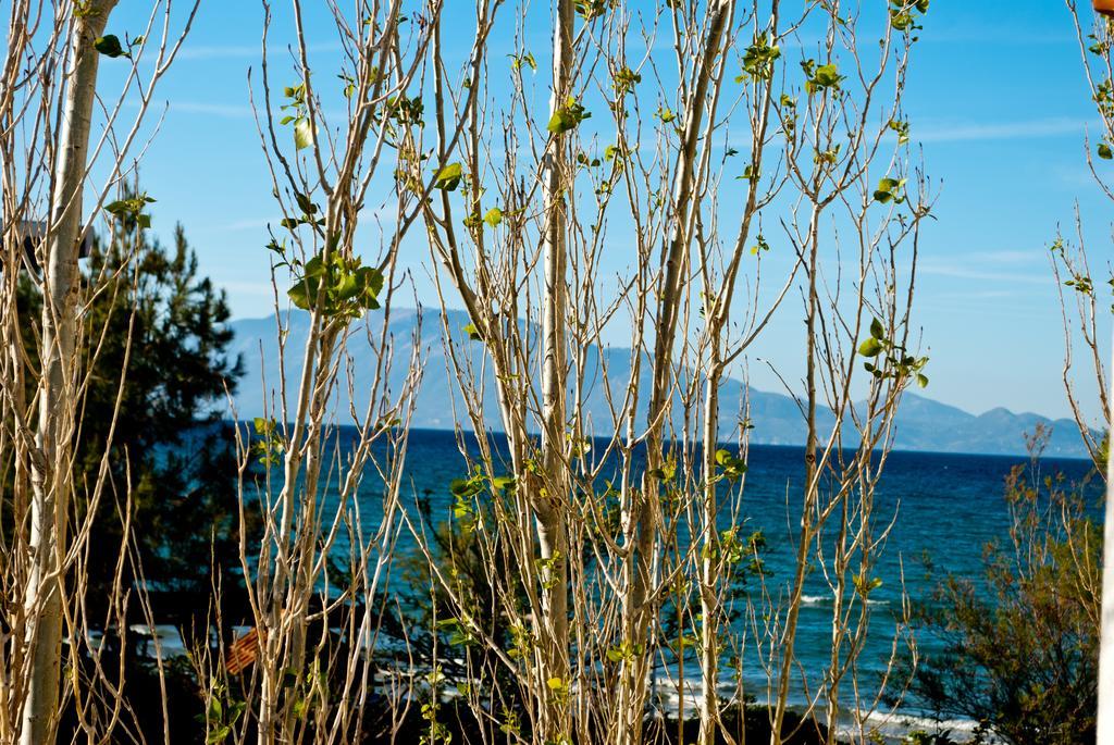 Apartmán Sea Sight Alykes  Exteriér fotografie